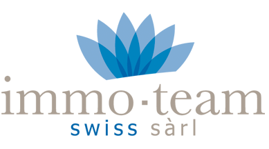 immo-team-logo